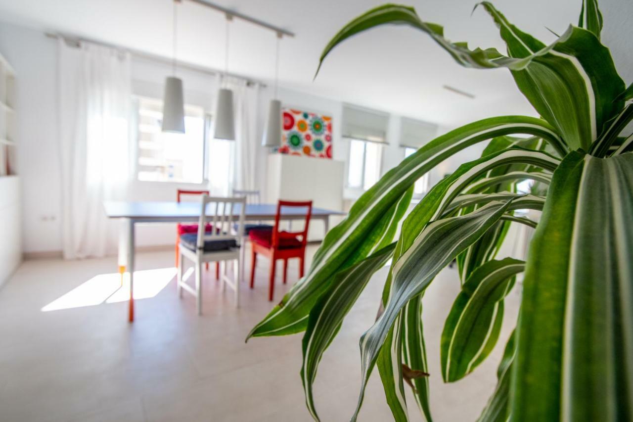 Apartamento El Rayo Verde 加的斯 外观 照片